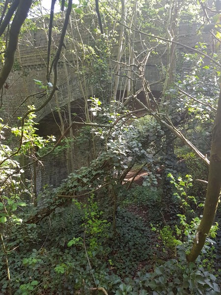 Great walk along the old railway line and through the village 5 - 12 April 2020
