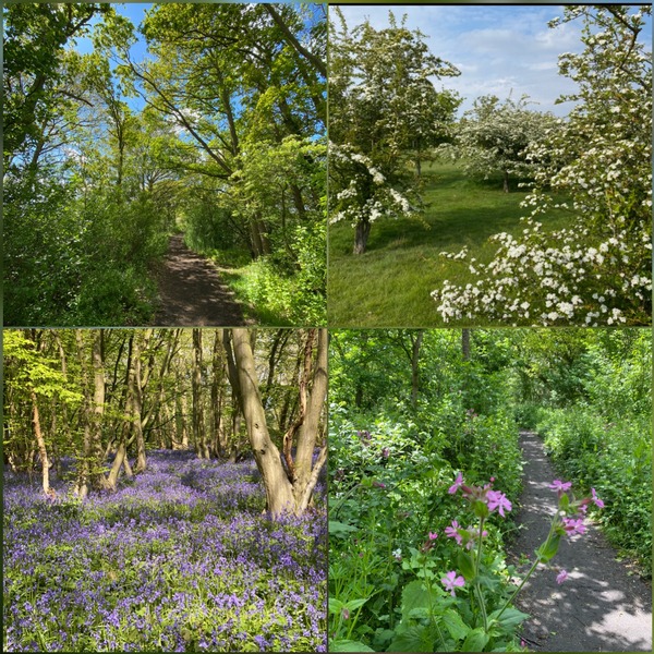 April in Stow Maries - Kym's Stow Maries