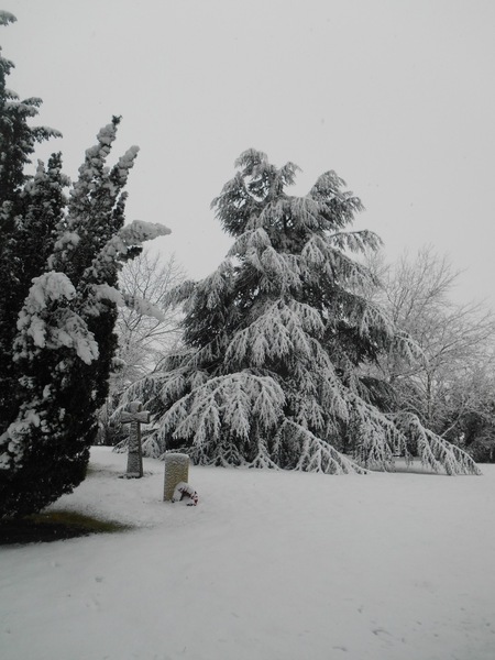 Churchyard 2 - 10 December 2017