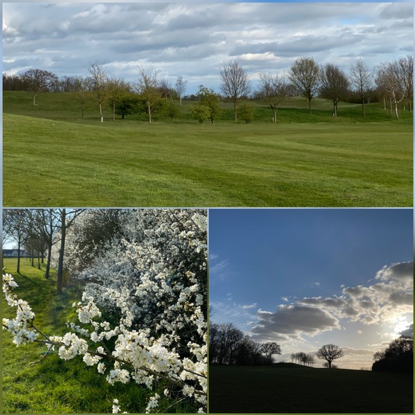 Golf course looking good! - 5 February 2020