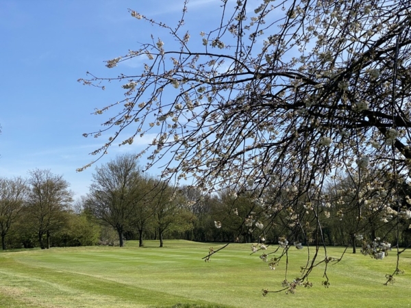 Golf course towards Cold Norton on a perfect day - Kym's Stow Maries