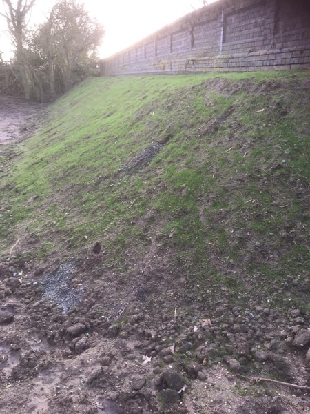 Grass seed coming through on the embankment of repaired bridge - 5 February 2020