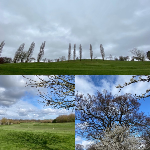 More views of the golf course- our daily walk - 5 February 2020