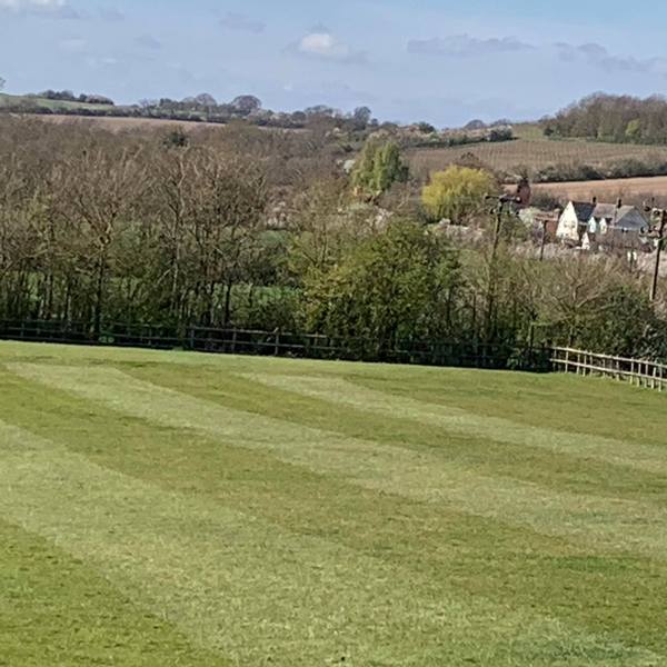 Neighbouring Vineyard near Crows Lane - 9 April 2020