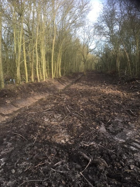 New stream alongside the railway cut - 5 February 2020