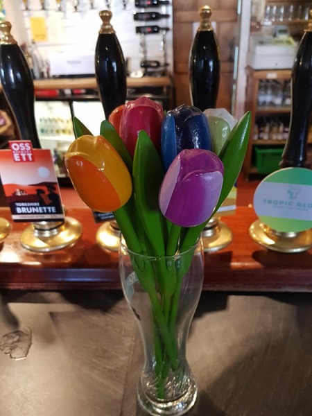 Pub tulips - 5