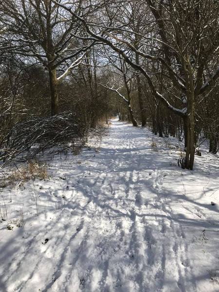 Railway line towards Church Lane from SWF end - 31 January 2020