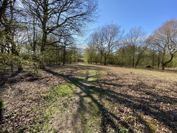Stow Halt - Kym's Stow Maries
