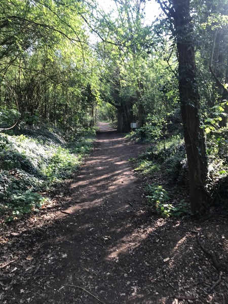 Stow Maries Halt 2020