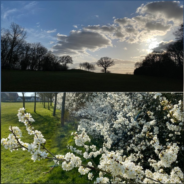 The golf course - Kym's Stow Maries
