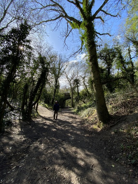 The railway cutting - Kym's Stow Maries