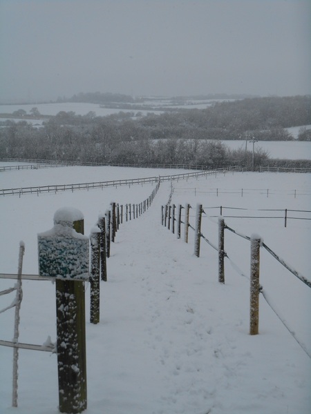 What, no horses - 10 December 2017